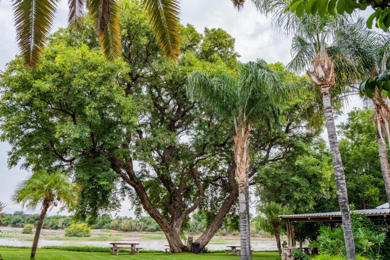 Riverbank Lodge Upington Esterno foto